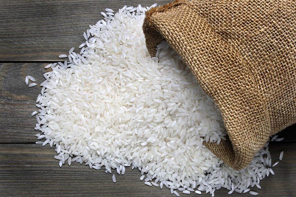 مدیرکل دفتر بازرگانی داخلی وزارت جهاد کشاورزی در خصوص حذف ممنوعیت واردات برنج توضیحاتی داد.