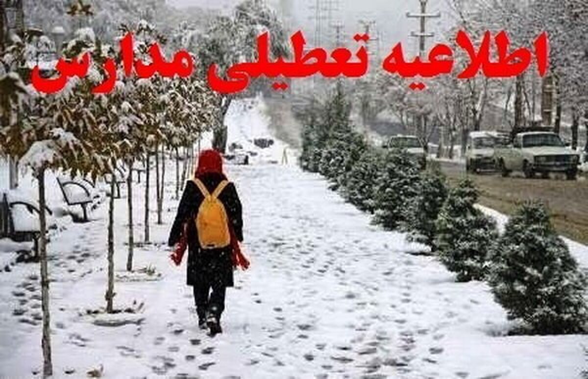 رئیس اداره اطلاع رسانی و روابط عمومی آموزش و پرورش استان کرمان گفت: به دلیل بارش برف و باران فردا چهار شنبه ۲۸ دی‌ماه فعالیت آموزشی مدارس برخی از شهرستان‌ها و مناطق استان غیرحضوری دنبال خواهد شد.