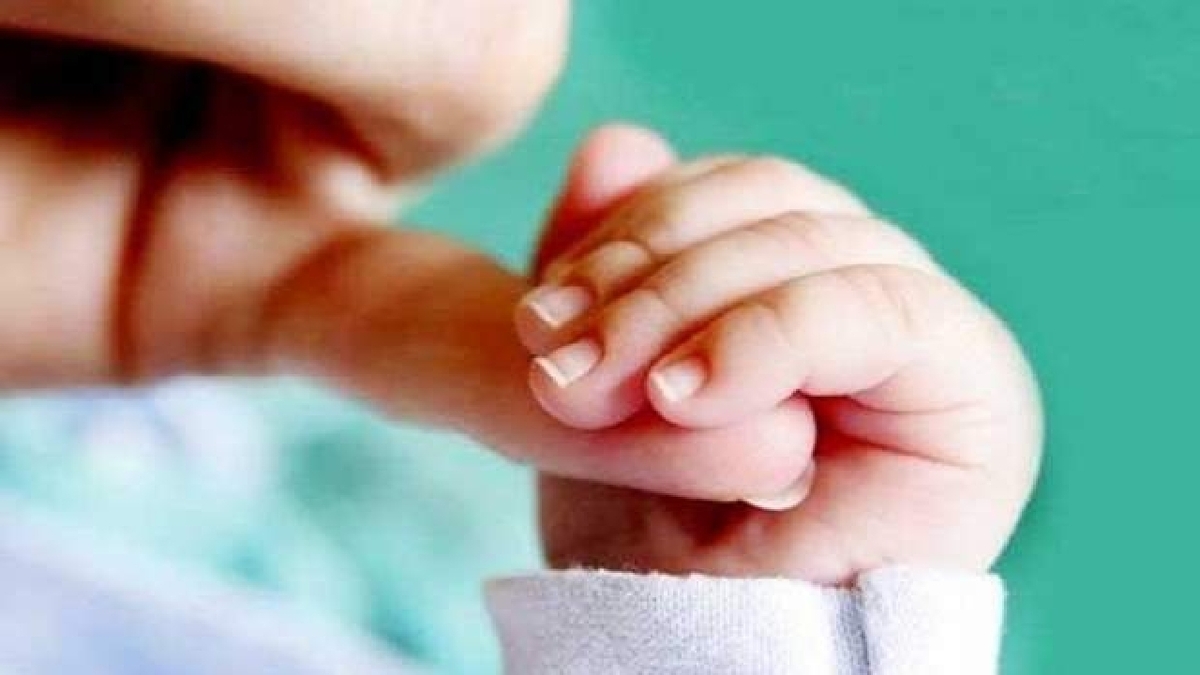 مدیر کل ثبت احوال خراسان رضوی از تولد ۲۵۳ نوزاد در استان در یک دی ماه خبر داد.