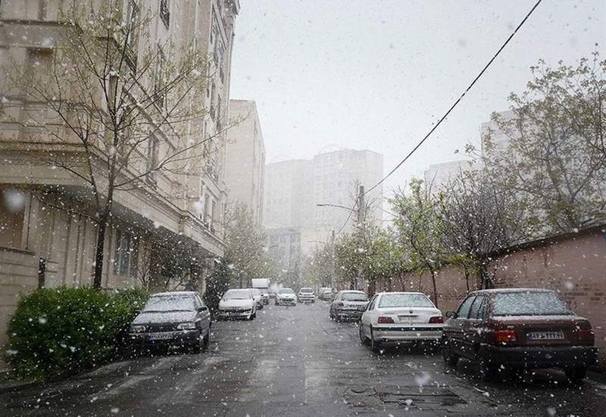 بر اساس آمار وزارت نیرو ۳.۸۴ درصد از مساحت کشور معادل ۶۳ هزار و ۳۶۰ کیلومتر مربع بر اثر بارش‌های اخیر پوشیده از برف شد.