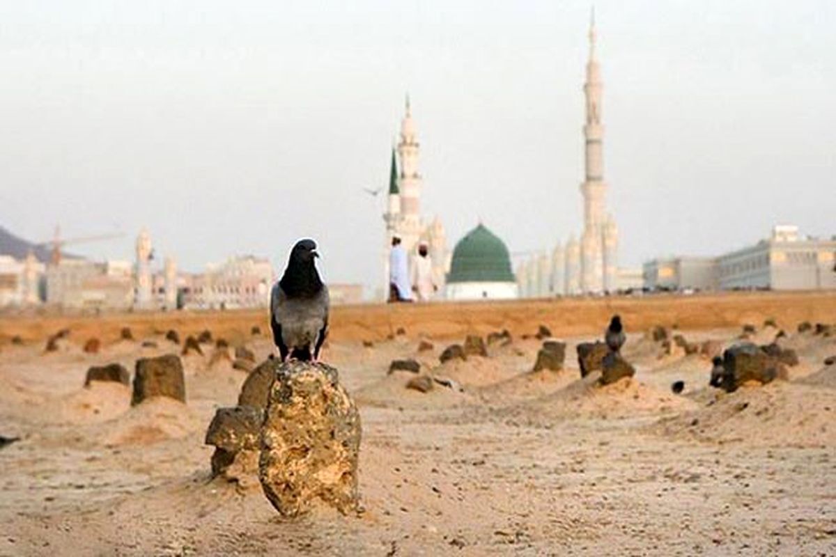 در مورد تاریخ ولادت حضرت فاطمه دو نقل قول و درباره محل دفن ایشان نیز ۳ احتمال وجود دارد.