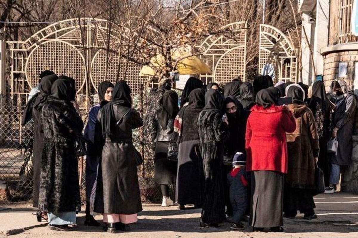 یک استاد دانشگاه در افغانستان در اعتراض به ممنوعیت جدید طالبان مبنی بر حضور دانشجویان دختر در افغانستان مدارک تحصیلی خود را در یک برنامه زنده تلویزیونی پاره کرد.