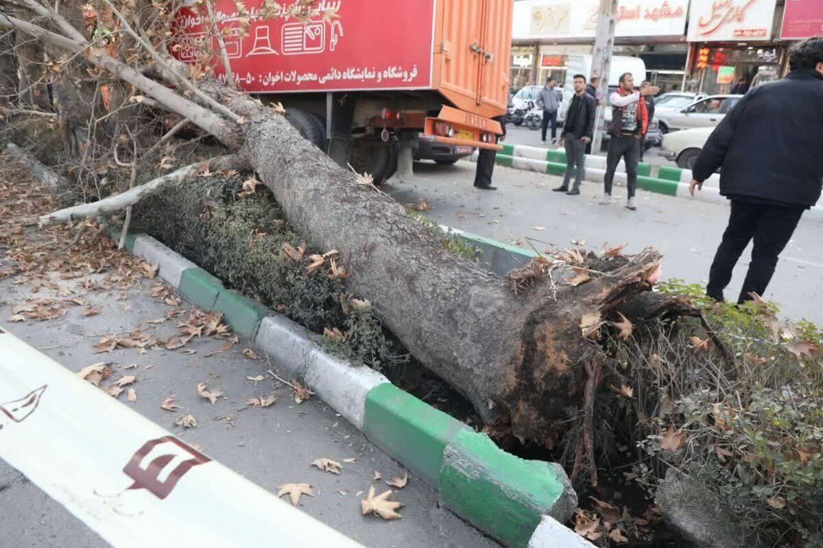 برخورد کامیونت خاور با درخت در بولوار قرنی مشهد، یک مصدوم بر جای گذاشت.