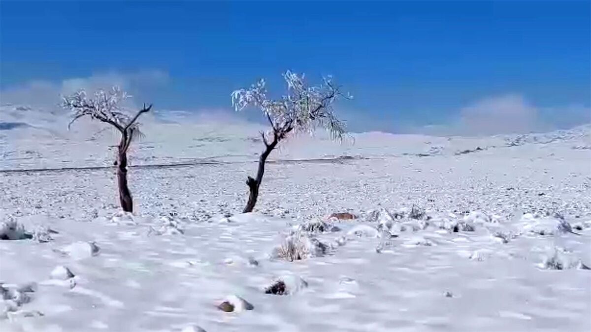 با گذشت چند روز از بارش های برف در مناطق مختلف شهرستان زرند ، طبیعت روستاهای زرند همچنان سفیدپوش است.