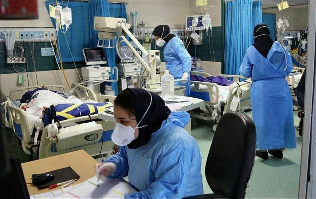 رییس کمیته رسانه دانشگاه علوم پزشکی مشهد از کاهش تعداد شهرستان‌های با وضعیت زرد کرونایی در خراسان رضوی از ۱۴ به ۸ شهرستان نسبت به هفته گذشته خبر داد.