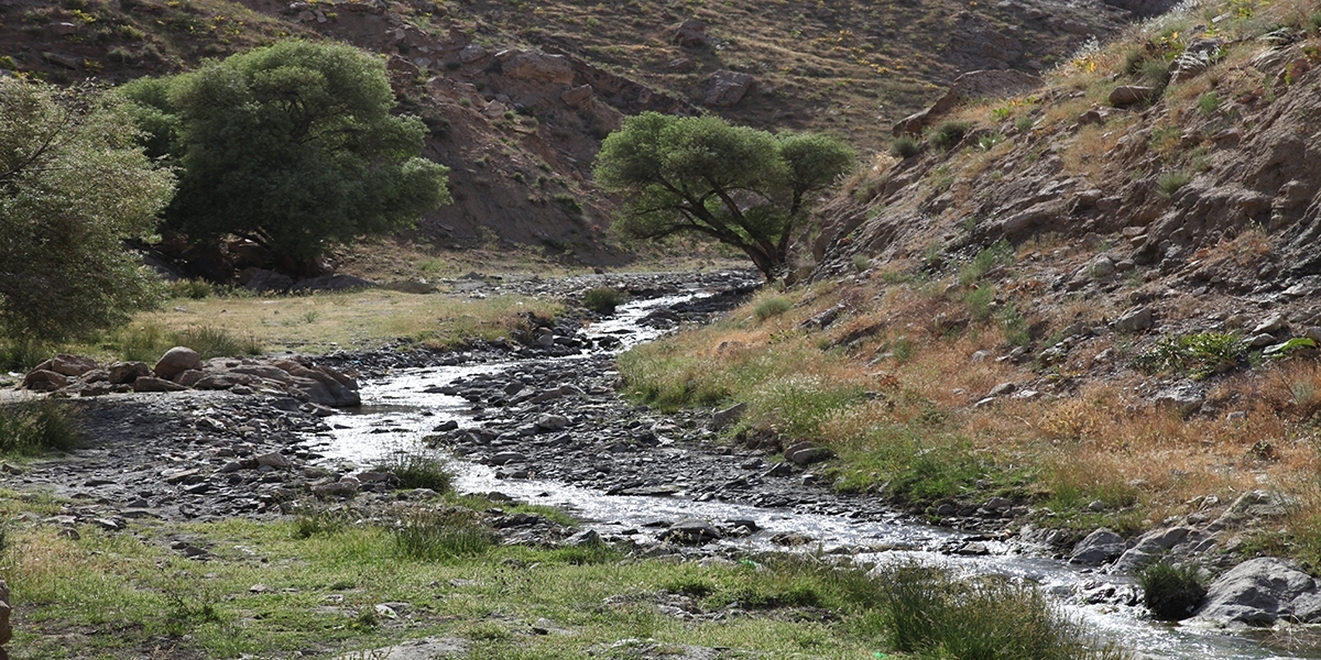 مدیر امور منابع آب شهرستان تربت‌جام گفت: چهار رودخانه دائمی واقع در شرق خراسان رضوی بر اثر کاهش بارش‌ها تنها تامین کننده حقابه ۱۱ روستا از میان افزون بر ۴۰۰ روستای در این منطقه هستند.
