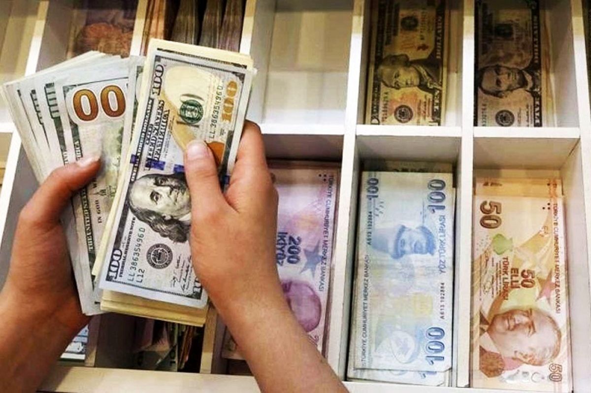 همزمان با افزایش قیمت دلار آزاد و حفظ فاصله آن با دلار دولتی، قیمت اجاره کارت ملی نیز افزایش پیدا کرده است. این در حالی است که دولت تلاش کرده بود در کنار سرکوب قیمت دلار، با ایجاد محدودیت‌هایی نظیر قطع یارانه صاحبان کارت ملی، افراد را از ورود به این بازار جدید دلالی منع کند.