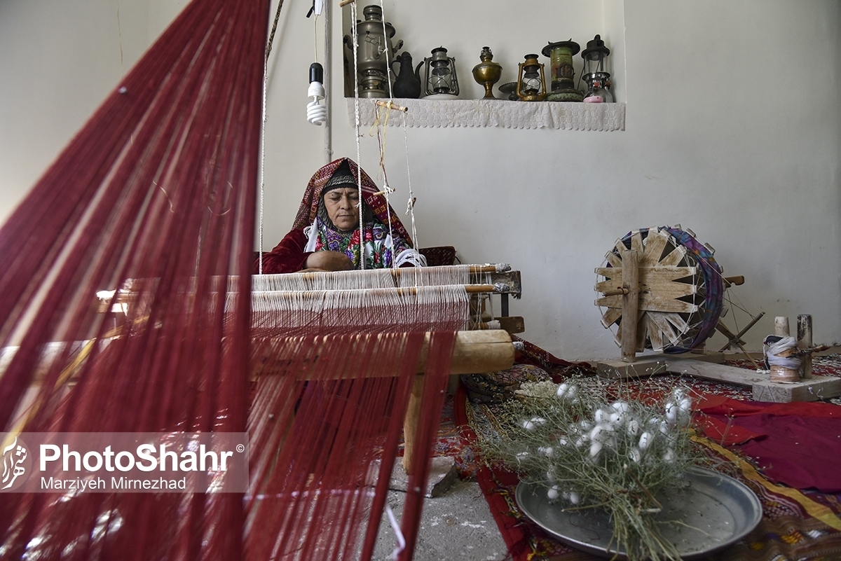 معاون رئیس‌جمهور در امور زنان و خانواده با بیان اینکه یکی مشکلات بانوان کارآفرین برای دریافت تسهیلات ارایه ضمانت‌نامه است، گفت: در طرح صندوق ضمانت، دولت ضامن بانوان کارآفرین سرپرست خانواده می‌شود.