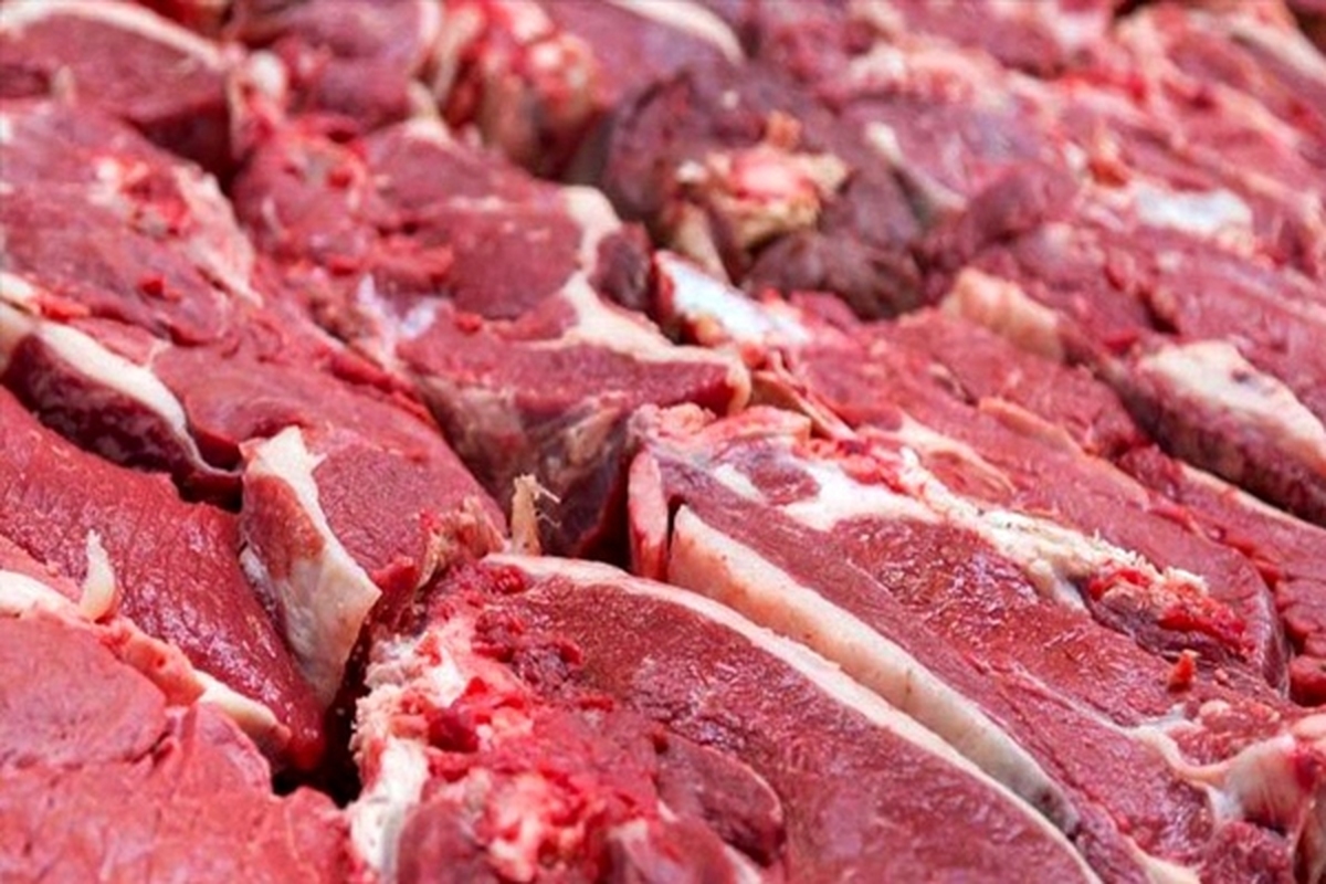 گوشت گرم گوسفندی و گوساله با قیمت مصوب از عرضه گوشت گرم گوسفندی و گوساله از فردا (یکشنبه) با قیمت مصوب در میادین میوه و تره‌بار خبر داد.