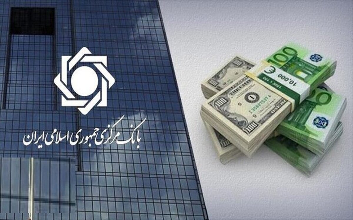 در سامانه ناخدا نیاز‌های ارزی خدماتی و غیر بازرگانی که ۳۸ مصداق برای آن در بانک مرکزی تعریف شده است، تامین خواهد شد. محل تامین این ارز، بازار مبادله ارز و طلا خواهد بود و قیمت آن نیز بر مبنای نرخ بازار متشکل ارزی است.