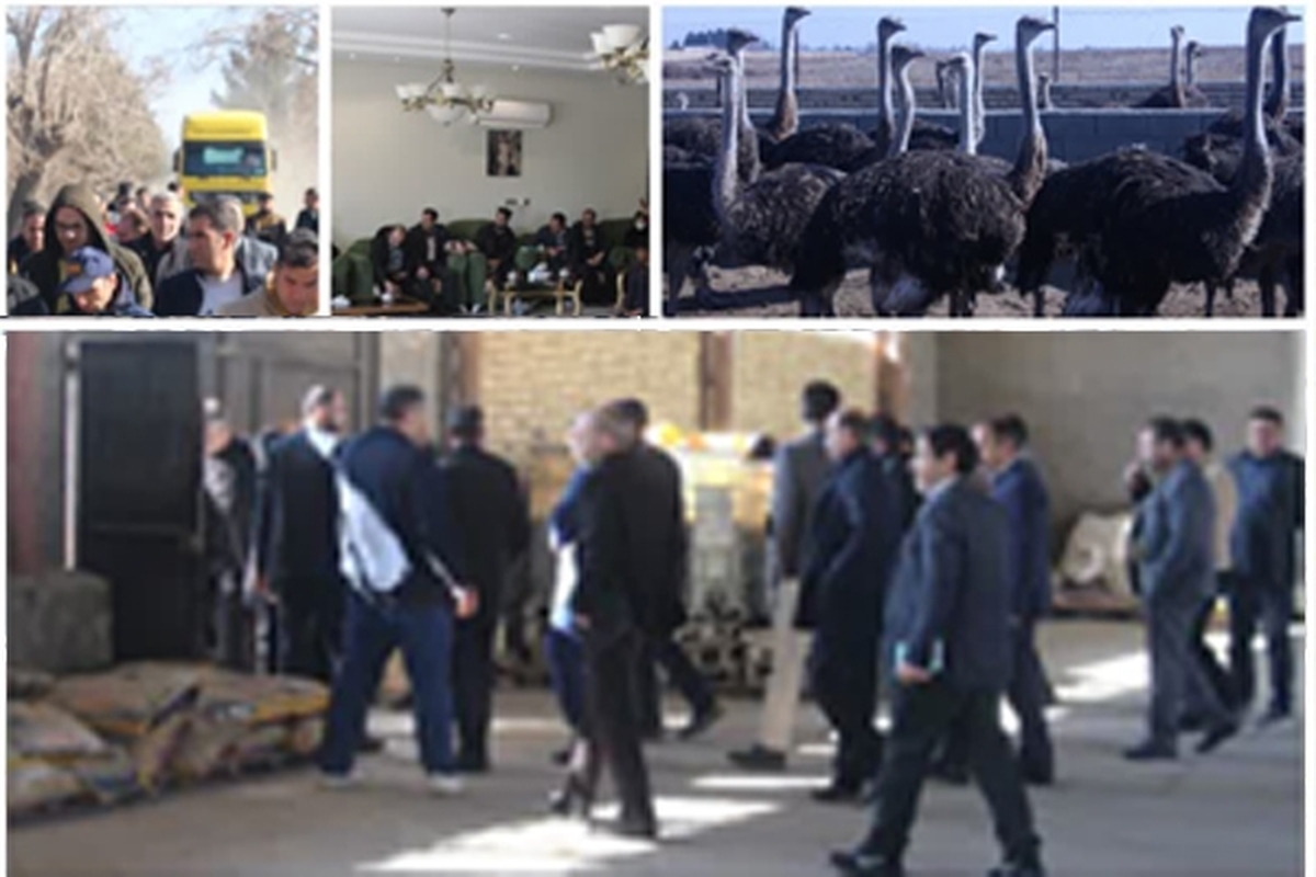 تیم ۴۰نفره دهیاران بخش مرکزی شهرستان اراک در سفر یک روزه به بخش مرکزی گلبهار از نحوه فعالیت بخشداری و دهیازی‌های بخش مرکزی گلبهار در حوزه‌های مختلف روستایی بازدید کردند.