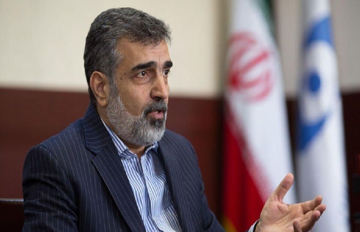 سخنگوی سازمان انرژی اتمی برخی ادعا‌ها مبنی بر دسترسی به افراد در جریان سفر رافائل گروسی مدیرکل آژانس بین‌المللی انرژی اتمی به تهران را رد کرد.