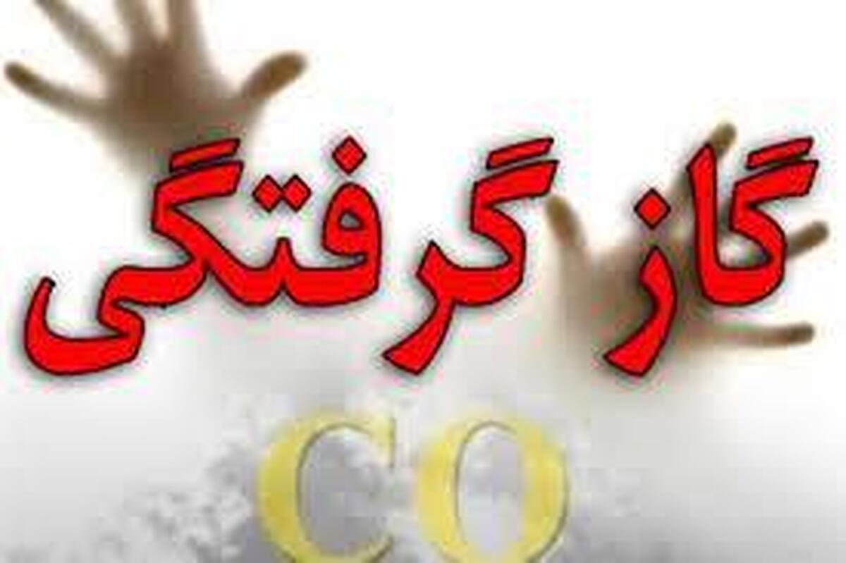 در این مطلب با انواع گازهای سمی و بوهایی که از خود در فضا متصاعد می‌کنند و علایم مسمومیت با گازهای سمی، راه‌های مقابله و فرار از آنها، آشنا می‌شوید.