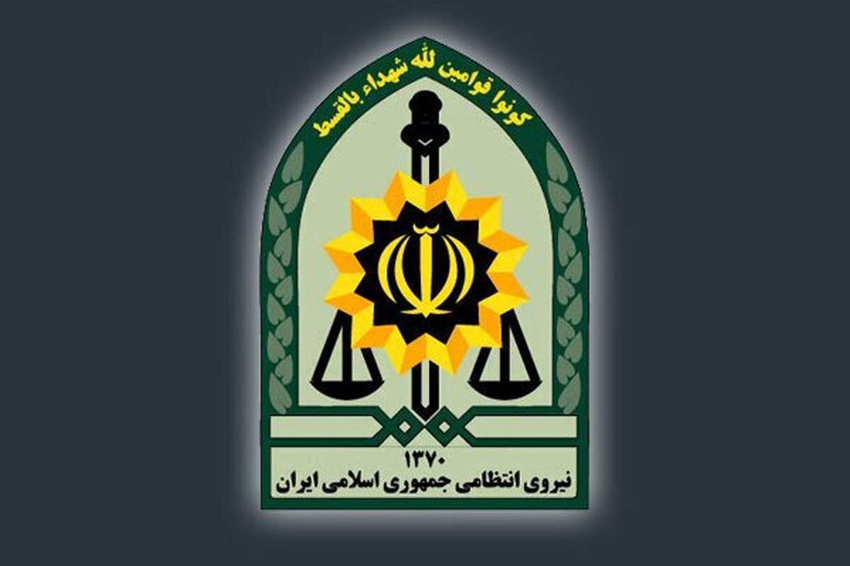 سخنگوی پلیس گفت: در نوروز ۱۴۰۲، فراجا با شعار نوروزی متفاوت با پلیس مقتدر و حرفه‌ای به استقبال بهار خواهد رفت.