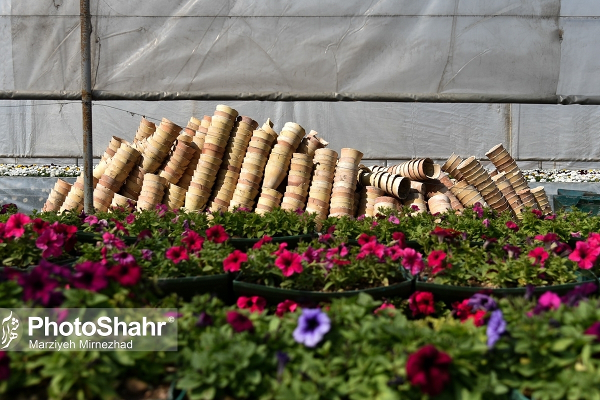 رئیس اتحادیه گلخانه‌داران خراسان رضوی گفت: سال گذشته به دلیل حال و هوای کرونا خیلی فروش گل و گیاه نداشتیم. اما امسال نسبت به پارسال وضعیت بهتری پیدا کرده است.