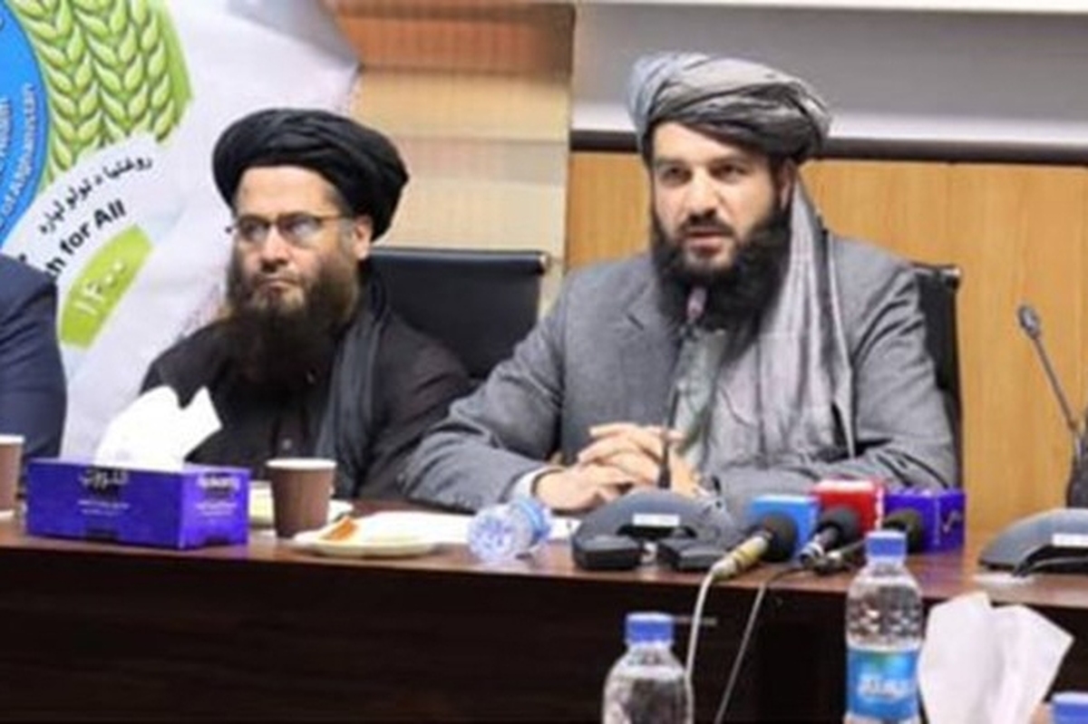 وزیر بهداشت طالبان اعلام کرد که سالانه افغان‌ها میلیون ها دلار برای درمان در خارج از کشور هزینه می‌کنند.