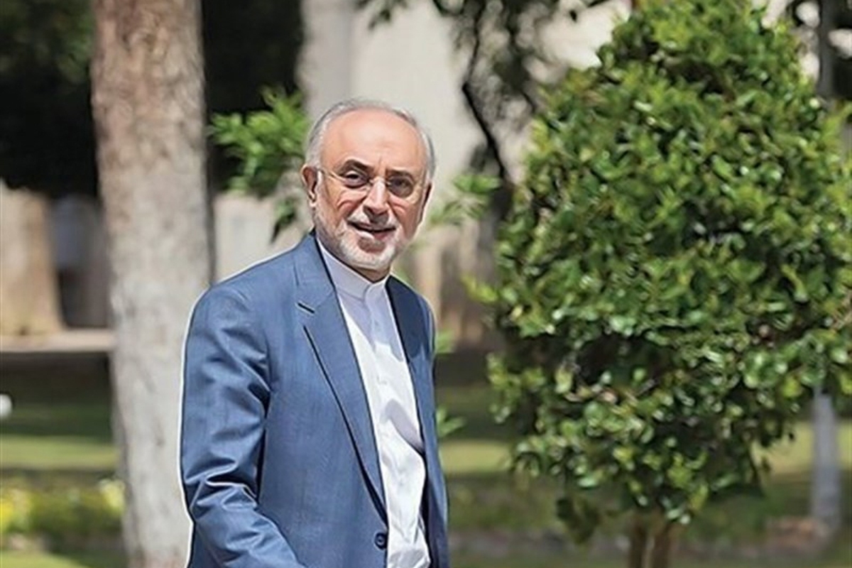 معاون پژوهشی و قائم‌مقام رئیس فرهنگستان علوم با اشاره به بی‌توجهی برخی مسؤولان نسبت به مهاجرت نخبگان، گفت: پدیده مهاجرت یک پدیده خطرناک است و اگر ما نمی‌توانیم نخبگان را در کشور نگه داریم، لااقل راه آمدن نخبگان کشورهای دیگر به کشور را هموار کنیم تا به ایران بیایند.
