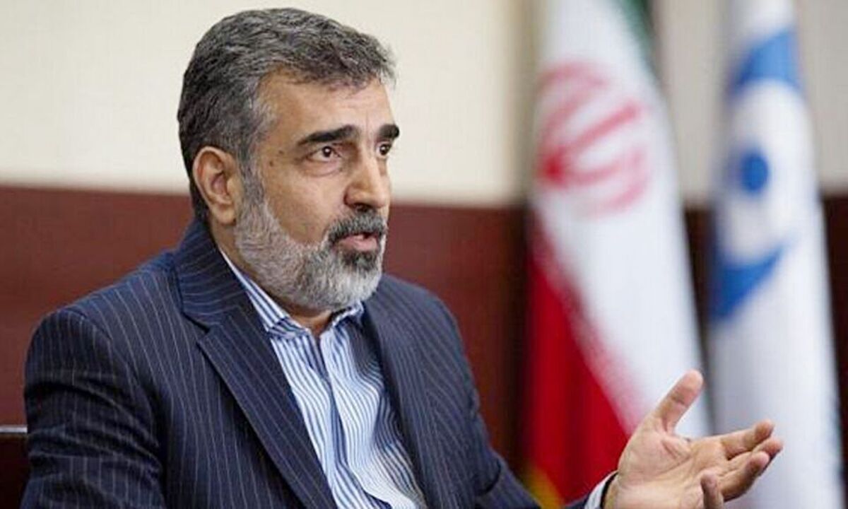 سخنگوی سازمان انرژی اتمی با بیان اینکه ایران طبق ۱۵ گزارش آژانس بین المللی انرژی اتمی کوچکترین تخطی از تعهدات خود نداشته است، گفت: غنی ­سازی ۶۰ درصد در فردو پاسخی به قطعنامه قبلی آن‌ها در شورای حکام بود.