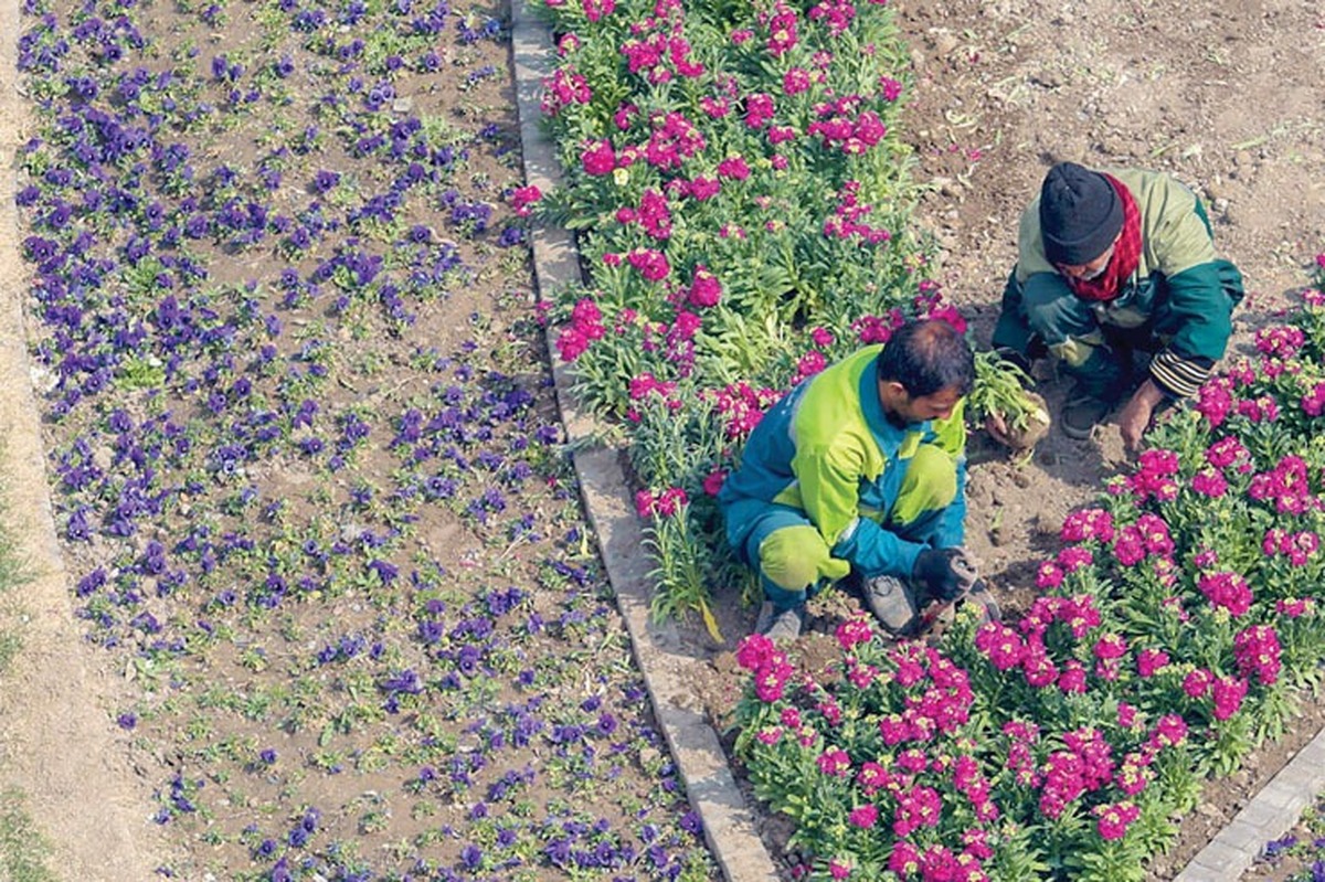 تفاوت اساسی اقتصاد اسلامی با سایر مکاتب اقتصادی، در این است که اقتصاد اسلامی بر آموزه‌های دینی مبتنی است، در حالی که نظریه‌پردازان اقتصاد سرمایه‌داری حول محور‌های مطلوبیت، سود و رفاه مادی می‌چرخند، در نظریه اقتصاد سرمایه‌داری مبنای رفتار انسان در جایگاه مصرف‌کننده، حداکثرسازی مطلوبیت و در جایگاه تولیدکننده بهینه‌سازی تولید به هدف حداکثرکردن سود است.