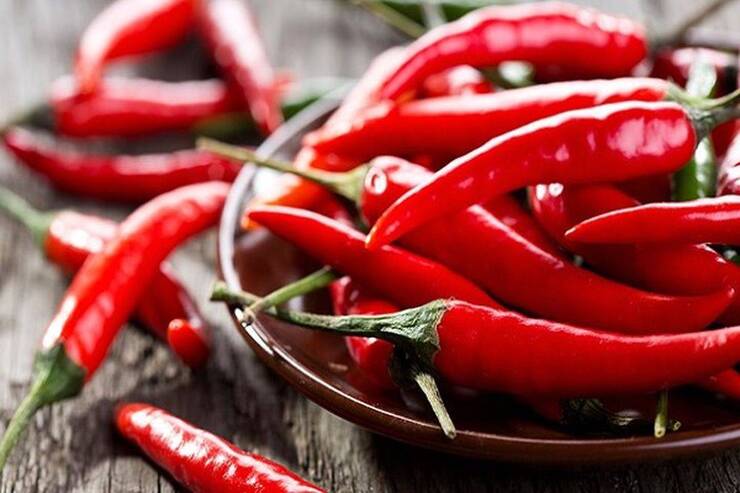 فلفل‌های تند (چیلی) به دلیل بهبود طعم و مزه وعده‌های غذایی، در بین طرفداران خوراکی‌های تند، محبوبیت زیادی دارند.