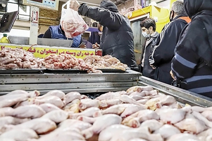 زمزمه حذف ارز ترجیحی نهاده دانی و آزادسازی قیمت‌ برخی کالاهای اساسی مثل مرغ و تخم مرغ و از طرفی، واریز یارانه به حساب سرپرست خانواده، امروز بازار مرغ و تخم مرغ را آشفته کرد.
