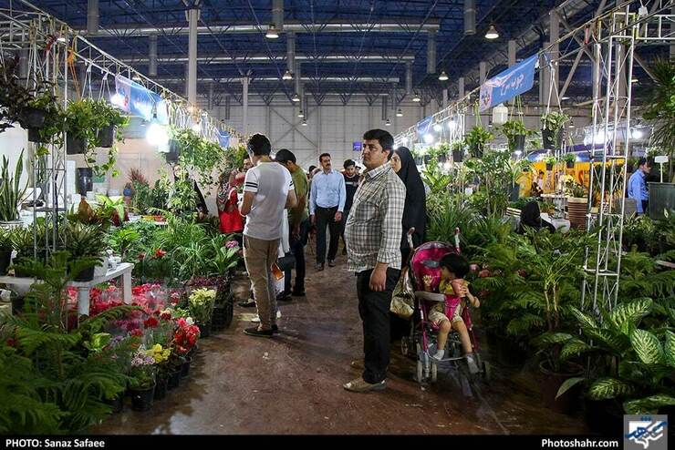 معاون نمایشگاهی شرکت نمایشگاه بین‌المللی مشهد گفت: نوزدهمین نمایشگاه بین‌المللی گل و گیاه و باغبانی همراه با ششمین نمایشگاه تخصصی تجهیزات پارکی از امروز در دائمی نمایشگاه بین‌المللی مشهد برگزار می‌شود.