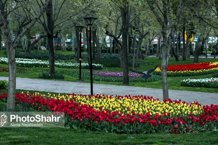 معاون فرهنگی و هنری سازمان اجتماعی و فرهنگی شهرداری مشهد از رونمایی مجسمه «سوگ سهراب» به مناسبت دهه ادب و حماسه و همچنین سالروز نکوداشت حکیم ابوالقاسم فردوسی در محل بوستان ملت مشهد خبر داد.