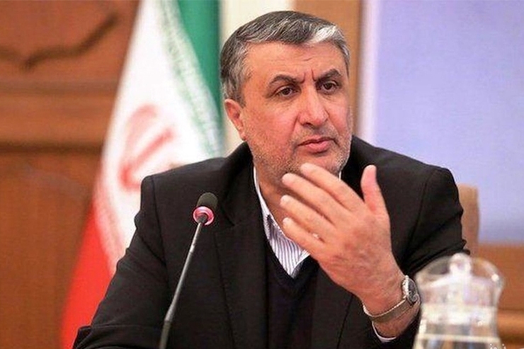 رئیس سازمان انرژی اتمی در نشست تخصصی مبنا گفت: با ژرف‌نگری، حمایت و ایستادگی رهبر معظم‌ انقلاب و خودباوری دانشمندان در انرژی هسته‌ای توانستیم آن را به صورت بومی عرضه کنیم.
