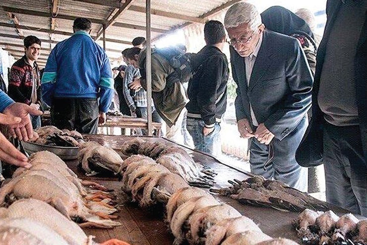 تاکنون هیچ گونه نامه یا حتی خبری مبنی بر بسته شدن بازار فریدونکنار به دادستانی ارسال نشده است. در این فصل از سال نه پرنده‌ای در فریدونکنار وجود دارد و نه بازاری فعال است که با آن برخورد شود و اکنون بازاری که از آن به عنوان بازار پرندگان وحشی فریدونکنار یاد می‌شود یک کوچه خالی با تعدادی تخت است.