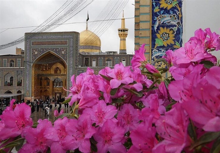 همزمان با آغاز دهه کرامت ۵ هزار زیارت اولی، که عمده آن‌ها جزو خانواده‌های محروم هستند، از استان‌های مختلف کشور به مشهدالرضا (ع) دعوت شده‌اند و بنیاد کرامت رضوی میزبانی سه روزه از آن‌ها را عهده‌دار شده است.