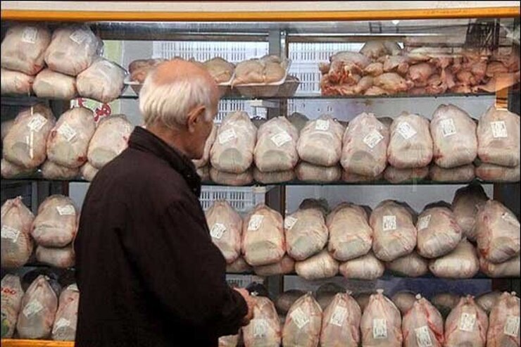 دبیر انجمن صنفی مرغداران خراسان رضوی گفت: با کاهش تقاضا در بازار مرغ، قیمت مرغ در بازار کاسته شده و هزینه‌های تمام‌شده بیش از نرخ موجود در بازار است.