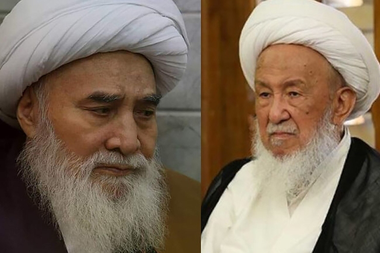 علما، اساتید و طلاب حوزه‌های علمیه شیعه و اهل سنت افغانستان تعطیلی و بازداشت مسئولان دفاتر مراجع تقلید در غزنی را محکوم کرده و آن را نقض آشکار حقوق مذهبی شیعیان افغانستان خوانده‌اند.