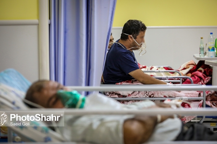 بنابر اعلام وزارت بهداشت، در طول ۲۴ ساعت گذشته، ۶ بیمار کووید۱۹ جان خود را از دست دادند و مجموع جان باختگان این بیماری به ۱۴۱ هزار و ۳۰۲ نفر رسید.