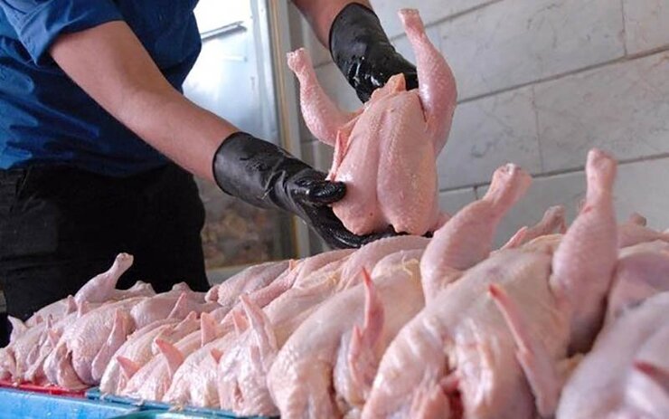 قیمت مرغ دربازار‌های شهرداری مشهد در تاریخ شنبه ۱۱ تیر ۱۴۰۱ اعلام شد.