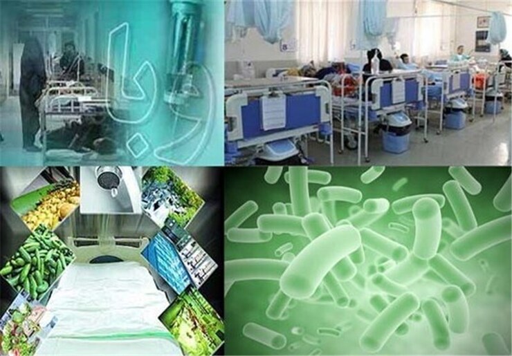 مدیر روابط عمومی دانشگاه علوم پزشکی کردستان از شناسایی ۲ مورد جدید مبتلا به وبا در استان خبر داد و گفت: هم‌اکنون آمار مبتلایان به وبا در کردستان به ۳۲ نفر رسیده است.
