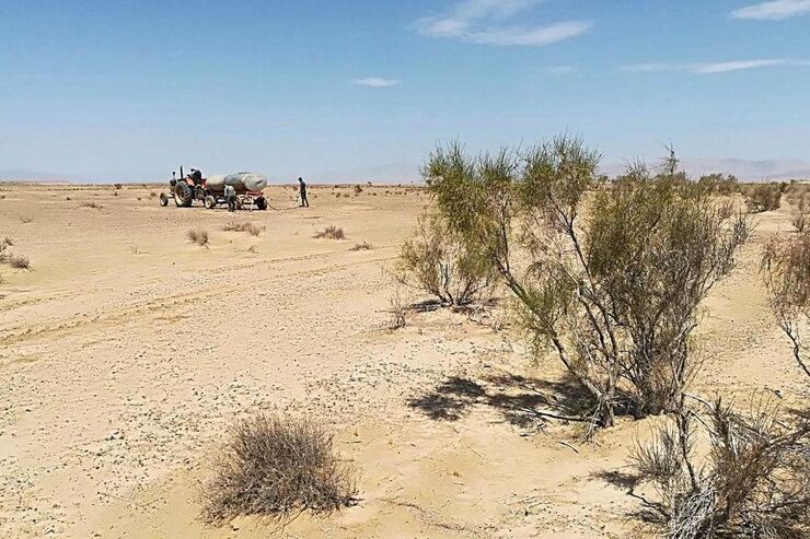 بیابان‌ها در خراسان رضوی هر روز با فرسایش باد‌ها گسترده‌تر می‌شود و نبرد طبیعت با انسان در این دیار سالهاست آغاز شده است.