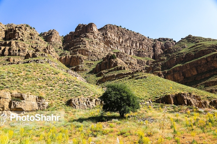 کارشناس مرکز پیش بینی اداره کل هواشناسی خراسان رضوی گفت: وضعیت جوی و آسمان خراسان رضوی برای امروز، یکشنبه همزمان با عید سعید قربان صاف و معتدل پیش‌بینی شده است.