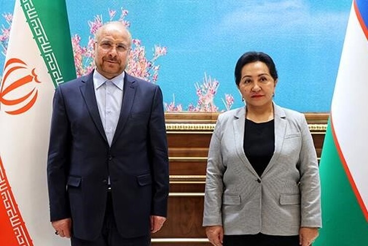 رئیس مجلس شورای اسلامی با استقبال رئیس مجلس سنای ازبکستان در پارلمان این کشور حضور یافت.