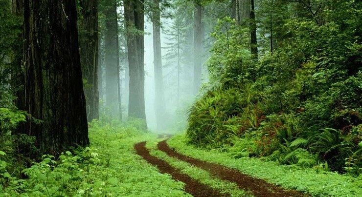 صومعه سرا یکی از شهرهای استان گیلان است که برای مسافرت گزینه بسیار خوبی است و توانسته نظر بسیاری از گردشگران را به خود جلب کند.