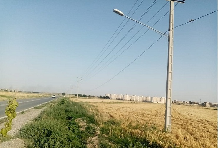 شهروند خبرنگار| سرقت کابل برق در روز روشن