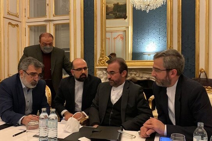 هیات مذاکره‌کننده جمهوری اسلامی ایران به ریاست دکتر علی باقری معاون سیاسی وزارت امور خارجه ساعاتی پیش جهت ادامه مذاکرات رفع تحریم وارد وین پایتخت اتریش شد.