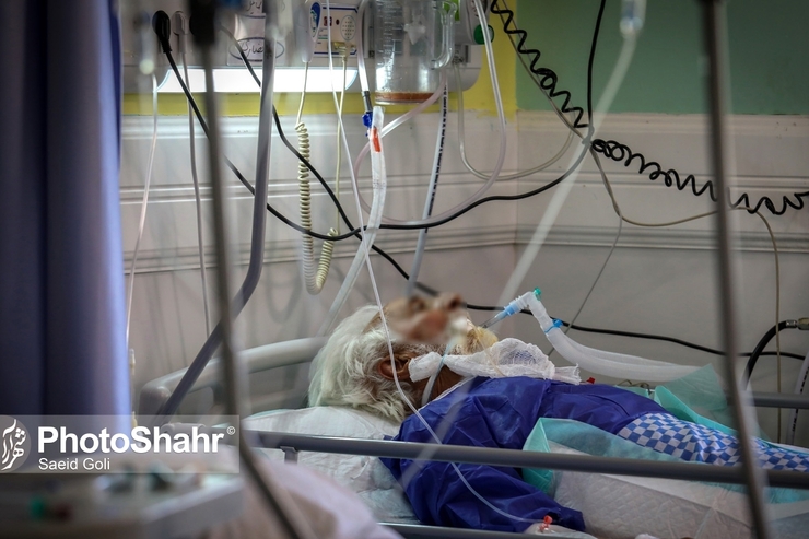 بنابر اعلام وزارت بهداشت، در شبانه روز گذشته ۷هزار و ۴۱۵ بیمار کووید - ۱۹ در کشور شناسایی شدند و متاسفانه در این بازه زمانی ۸۱ بیمار نیز جان خود را از دست دادند.