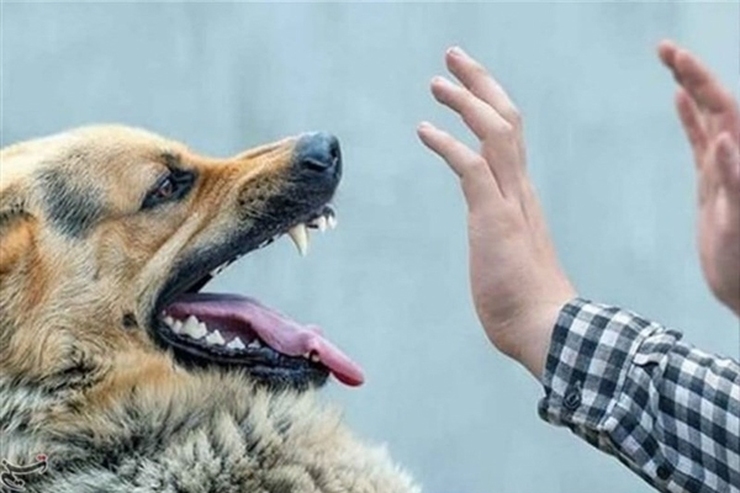 حمله مرگبار سگ نگهبان به صاحبش در نیشابور
