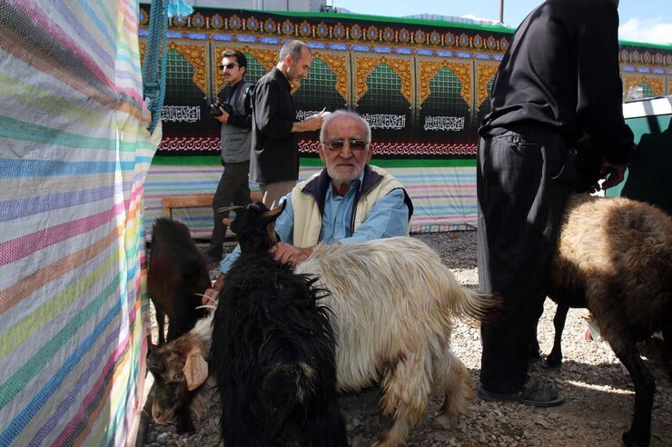 ۱۵۹ گروه دامپزشکی برای تامین امنیت غذایی عزاداران حسینی در تاسوعا و عاشورای حسینی آماده باش هستند