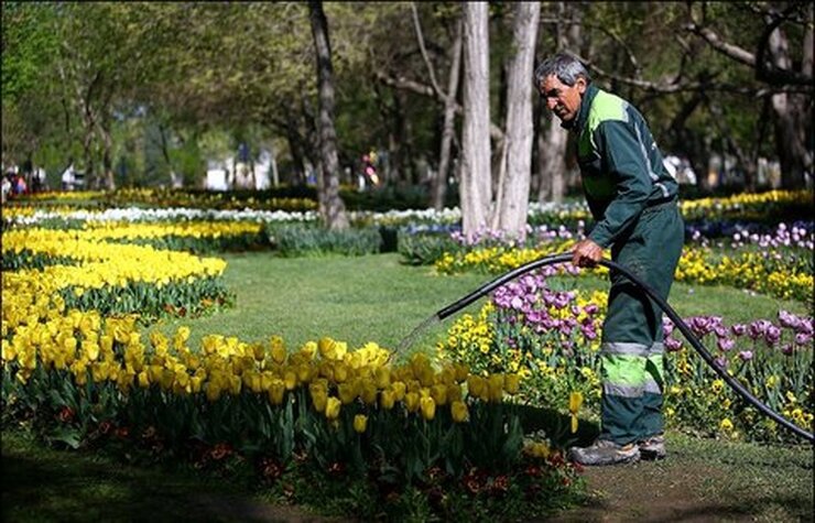 معاون خدمات و محیط زیست شهرداری مشهد گفت: آب مورد نیاز برای آبیاری فضای سبز مشهد از ۱۶ چاه غیر قابل شرب و همچنین پساب تصفیه شده تامین می‌شود.