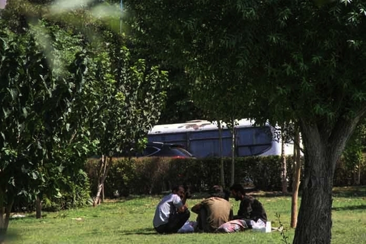فرمانده پلیس راهور خراسان رضوی گفت‌: از ابتدای سال جاری تا کنون ۲۲ معتاد متجاهر و افراد بی‌خانمان در تصادف های بزرگراهی جان خود را از دست داده اند.