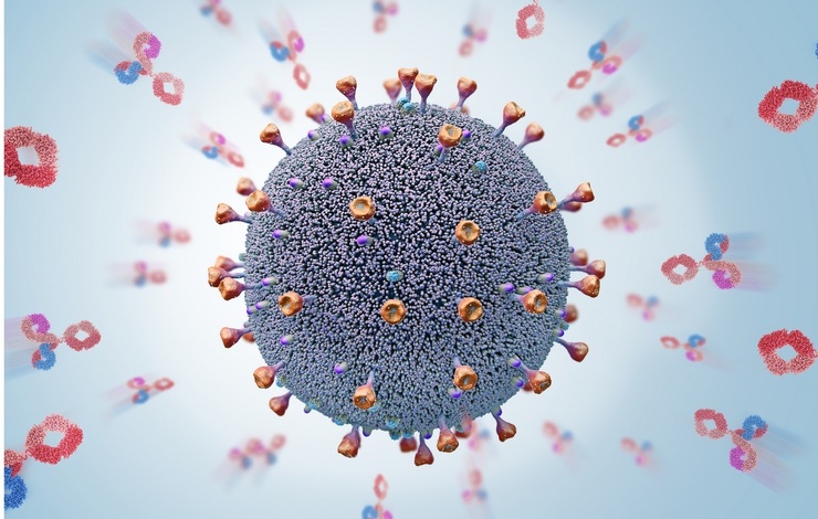 محققان در مقاله‌ای که در مجله علمی Science Immunology منتشر کرده‌اند، می‌گویند توانسته‌اند در آزمایشگاه از یک مدل موش که سیستم ایمنی آن اساساً مانند انسان‌ها شده بود استفاده کنند و آنتی‌بادی‌های موثرتری بسازند.