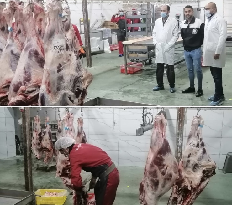 اکنون در استان روزانه ۱۰ تن گوشت گوساله و ۵ تن گوشت گوسفند بسته‌بندی و به سردخانه شرکت پشتیبانی امور دام منتقل می‌شود.