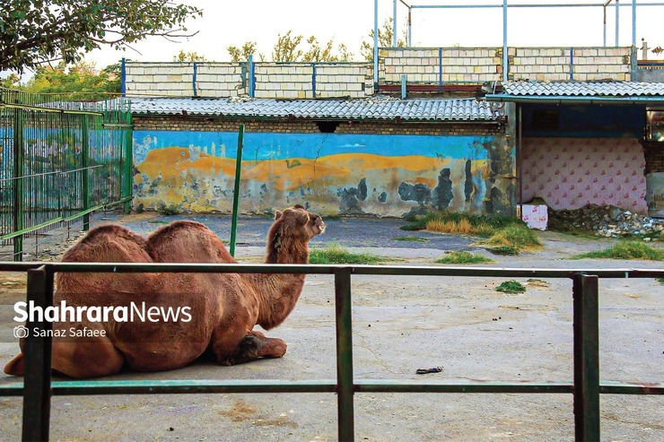 دغدغه دوستداران حیوانات برای حل مشکلات باغ وحش تاحدودی برطرف شده، اما کاستی‌ها در ورودی و بخش‌هایی از آن هنوز پابرجاست