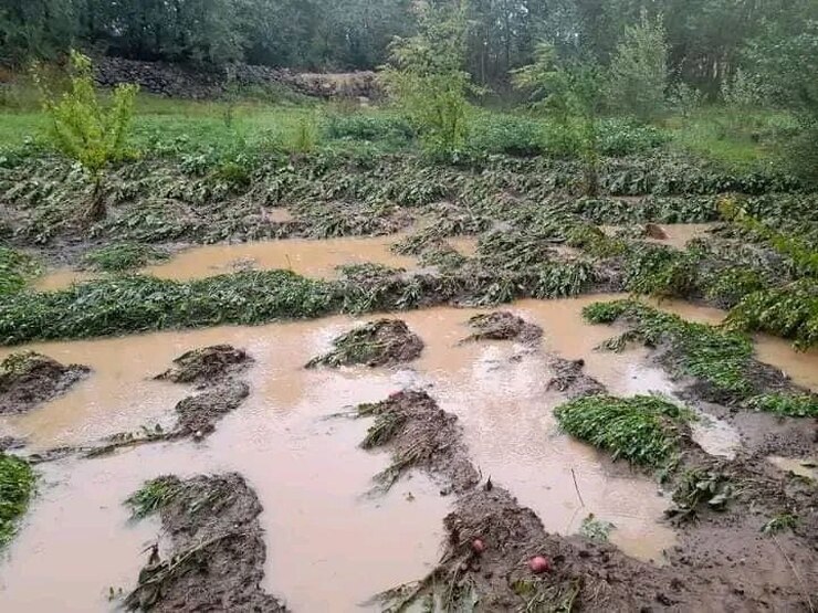 جاری شدن سیل، در روزهای اخیر در نقاط مختلف افغانستان تلفات جانی و مالی زیادی برجا گذاشته است.